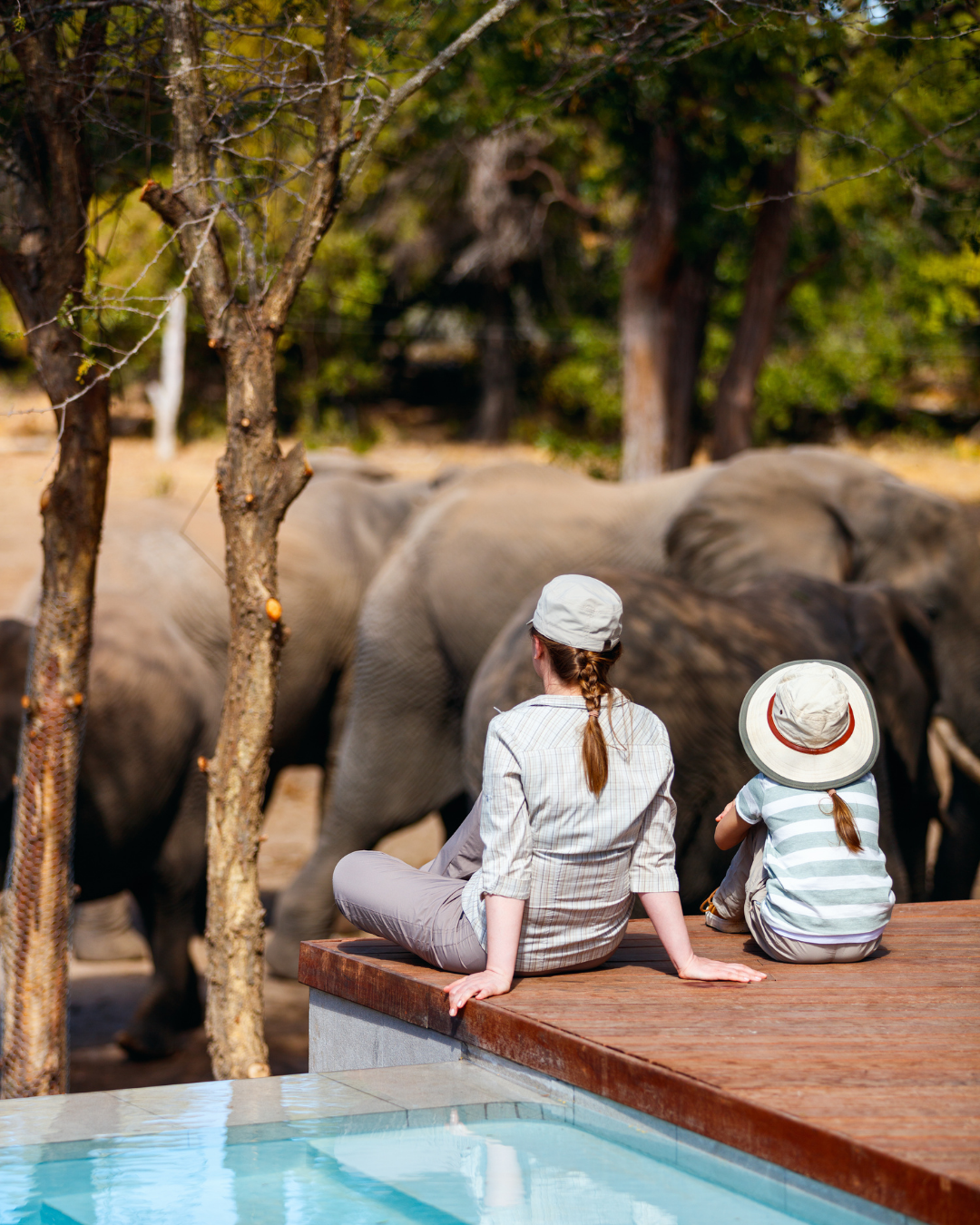 Mother and child sitting next to swimming pool looking over elephants grazing in front of them