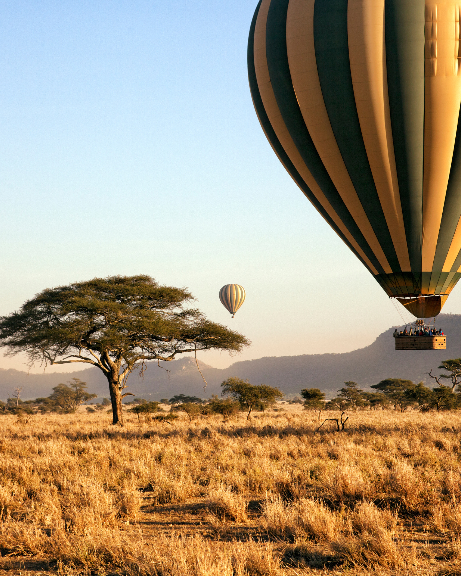 Hot air balloon hovering over South African bushveld, photographer unknown