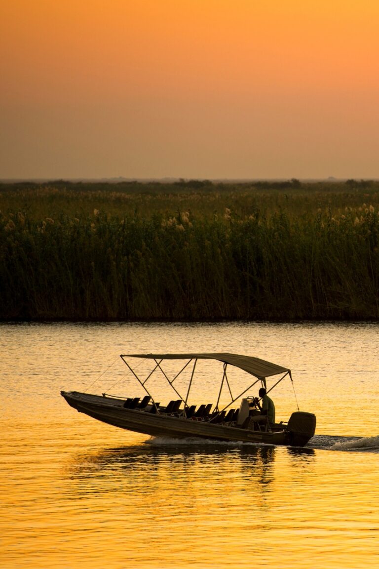 Boat cruise while sun sets over river in zambia