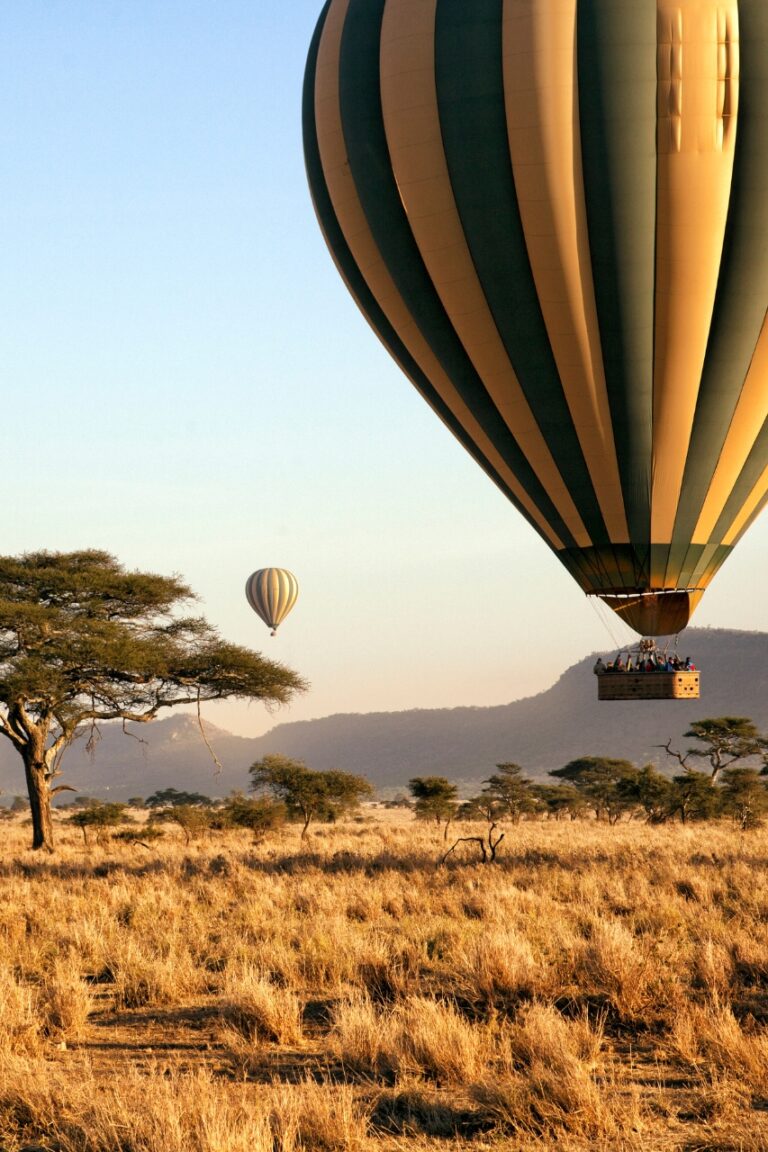 Hot air balloon over the tanzania park
