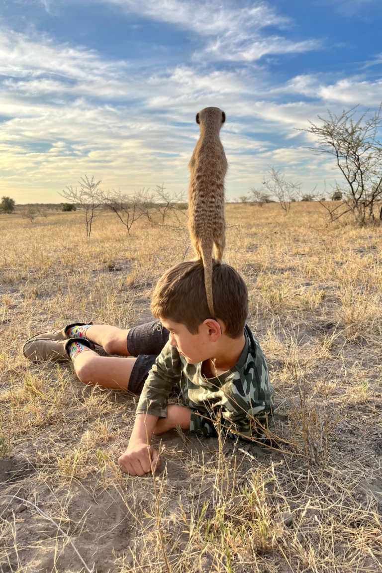 Little Boy in Botswana with Meerkat sitting on his heas
