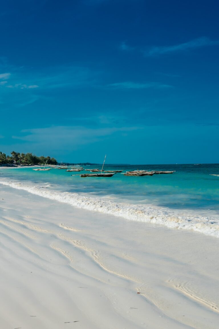 Tanzania White beach clear blue water with boats