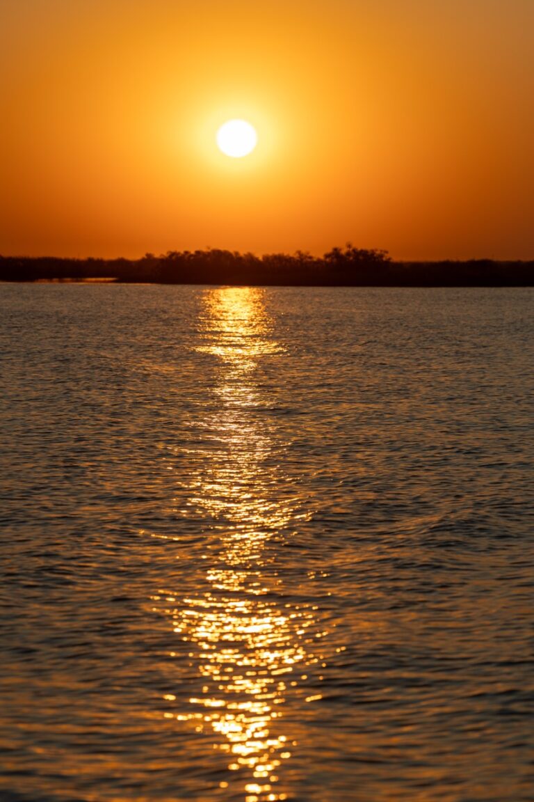 Van Africa sunet cruiser on Okavango delta in Botswana Large
