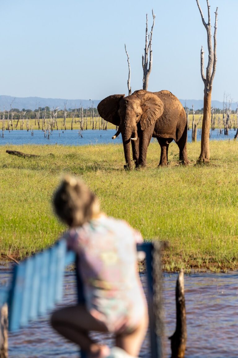 Van Afrika children on safari Zimbabwe with photographer Fritz Breytenbach