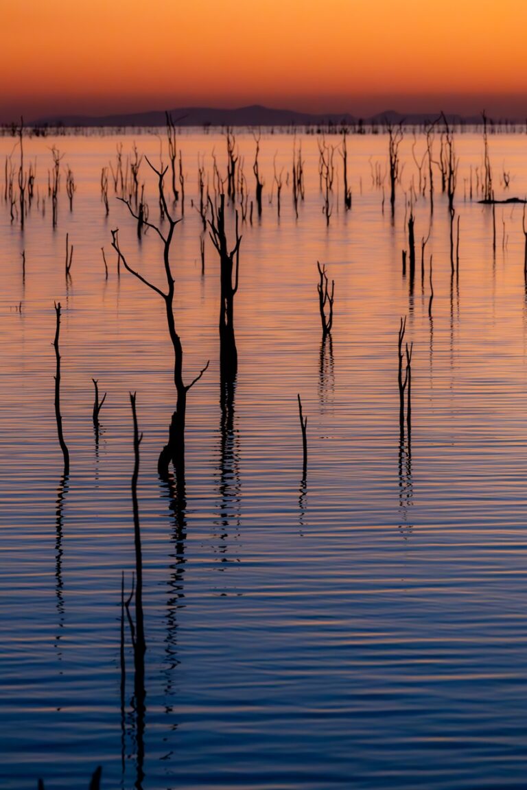 Van Afrika classic kariba sunset photo by Fritz Breytenbach