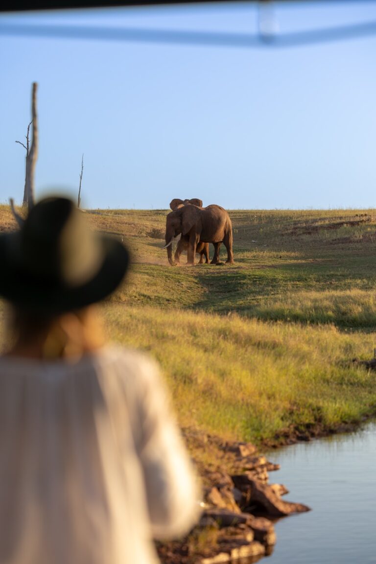 Van Afrika on boat safari in Kariba zimbabwe with Fritz Breytenbach