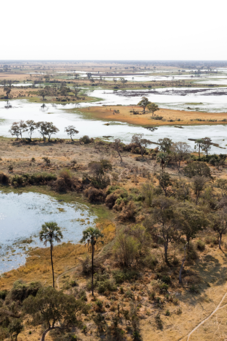 Botswana Okavango Delta