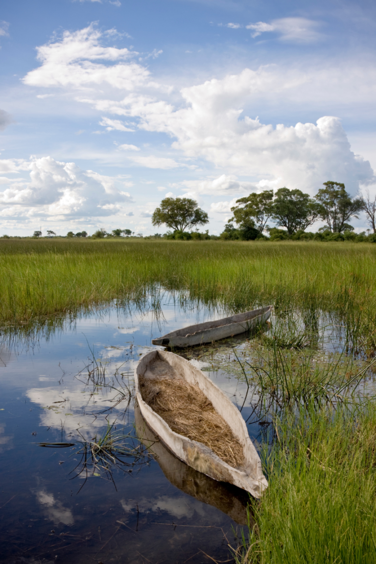 Mokoro Boat on the shore of the okavango delta